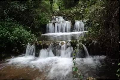 虫虫助手下载